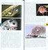 Mammals of South-East Asia -Pocket Photo Guide - Francis,E. 2017
